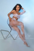  - Photo 4