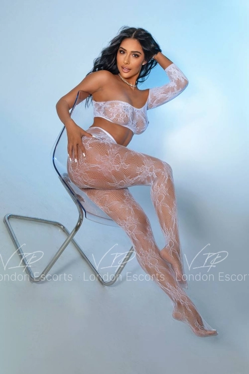  - Photo 4