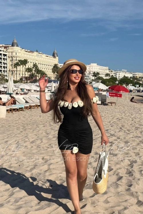 35yo Brazilian Brunette escort in Bayswater - Photo 16