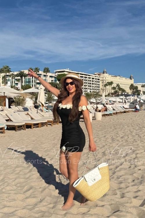 35yo Brazilian Brunette escort in Bayswater - Photo 17