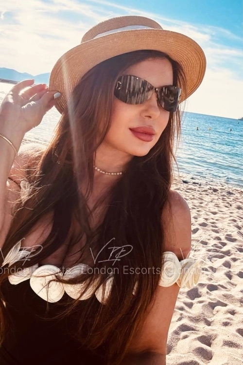 35yo Brazilian Brunette escort in Bayswater - Photo 18