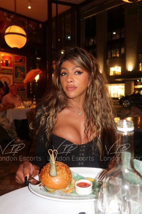 33yo Brazilian Brunette escort in Westminster - Photo 47