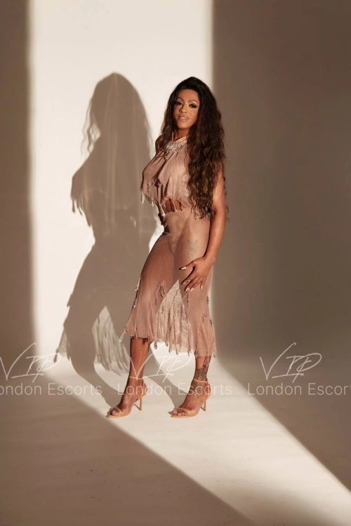 33yo Brazilian Brunette escort in Westminster - Photo 9