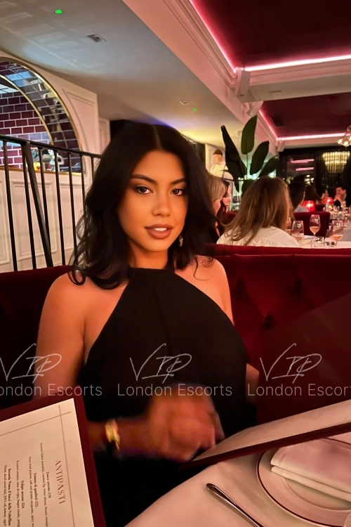 24yo Brazilian Brunette escort in Westminster - Photo 30