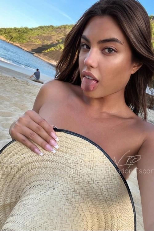 24yo Brazilian Brunette escort in Westminster - Photo 35