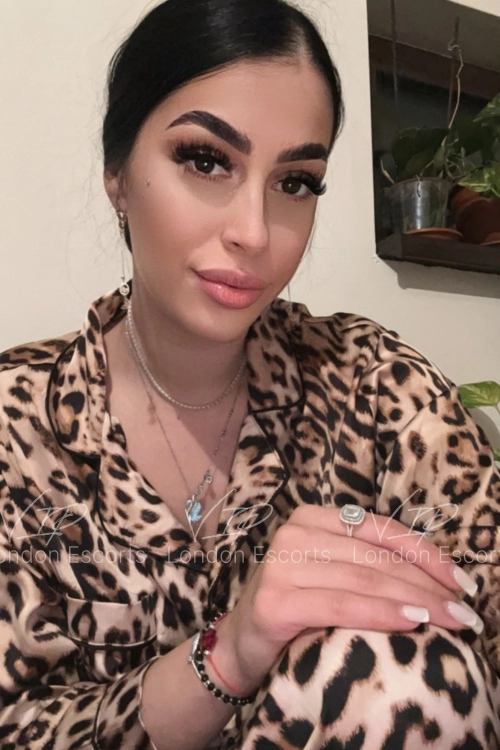 26yo Eastern European Brunette escort in Baker Street - Photo 1
