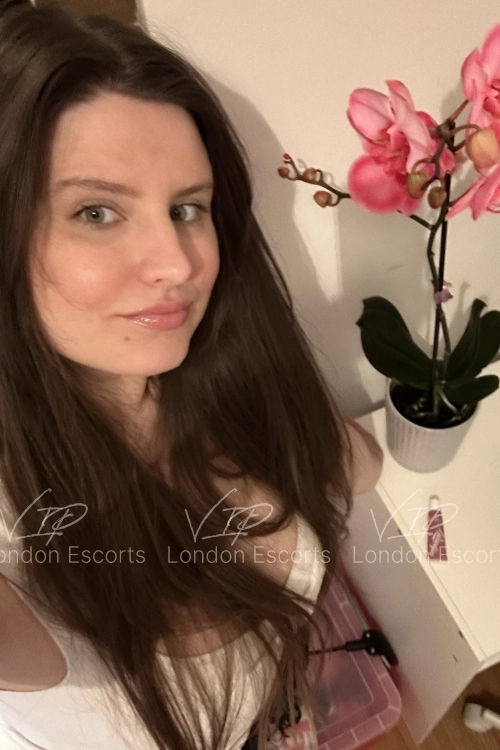 28yo Eastern European Brunette escort in Bayswater - Photo 7