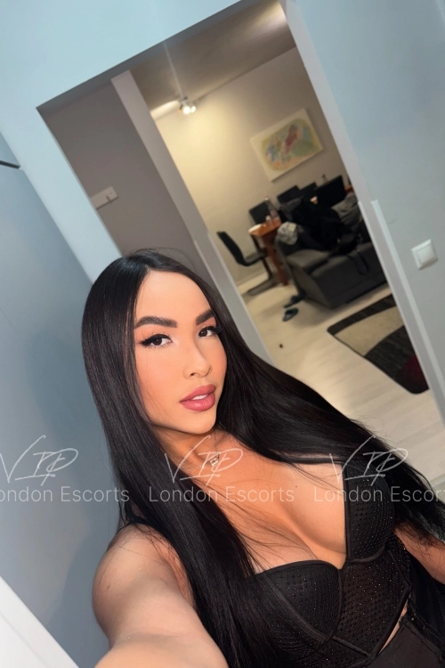 22yo Brazilian Brunette escort in Battersea - Photo 7