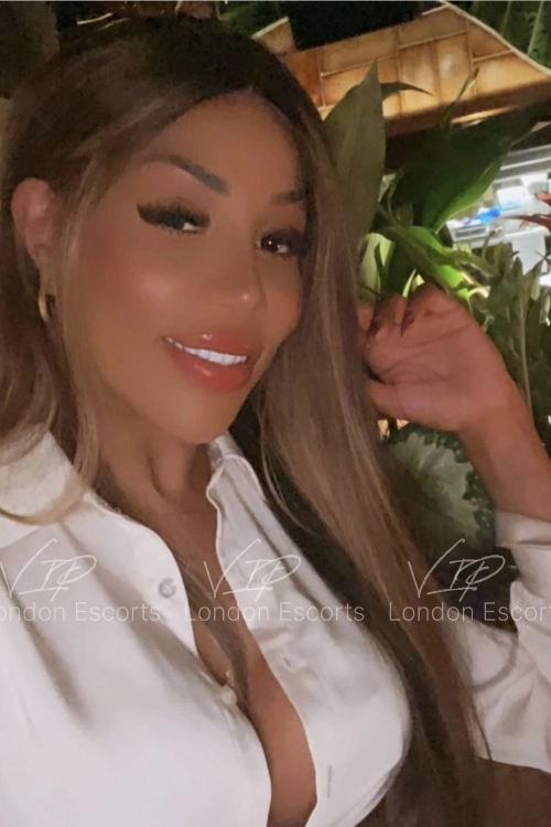 29yo Brazilian Brunette escort in Chelsea - Photo 7