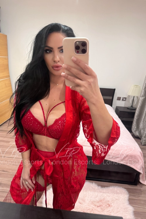36yo Eastern European Brunette escort in Earls Court - Photo 8