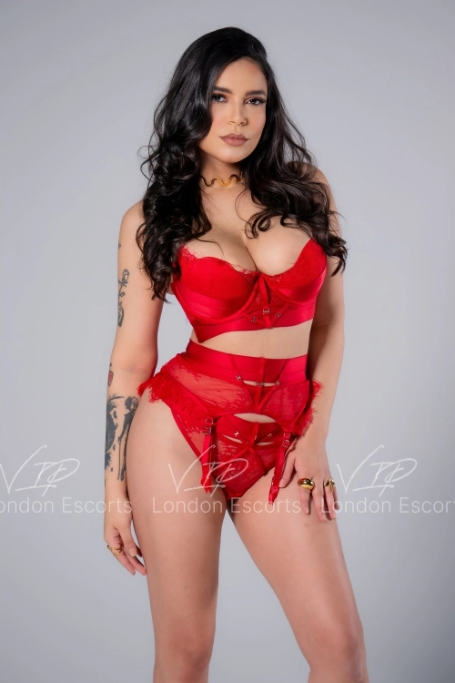 28yo Brazilian Brunette escort in Marylebone - Photo 5