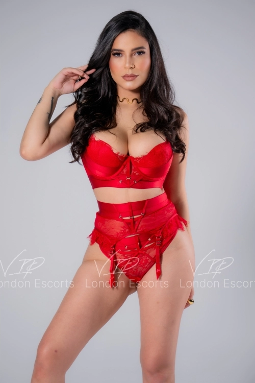 28yo Brazilian Brunette escort in Marylebone - Photo 6